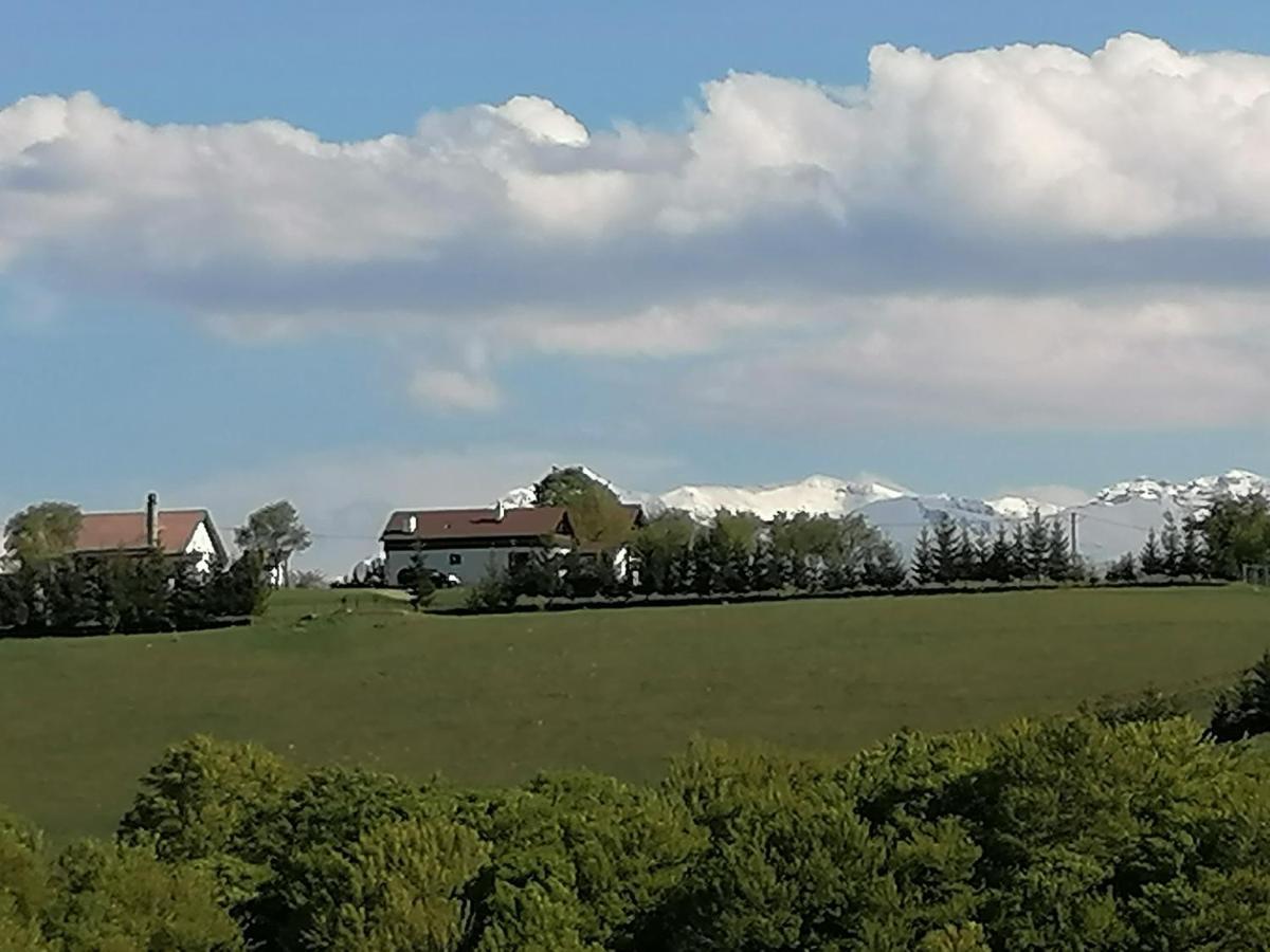 Conacul Elenei Villa Poiana Marului  Exterior photo